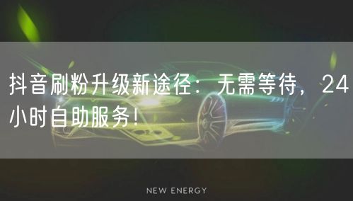 抖音刷粉升级新途径：无需等待，24小时自助服务！