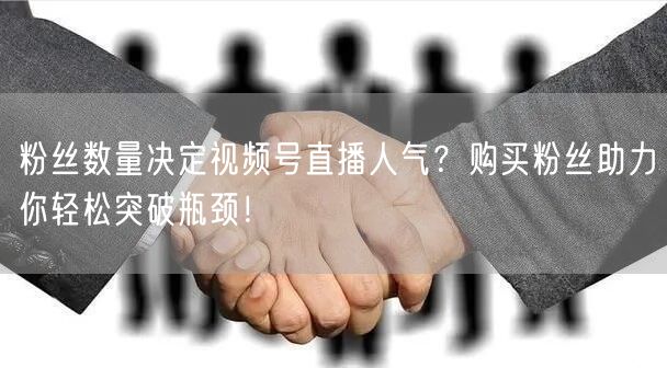 粉丝数量决定视频号直播人气？购买粉丝助力你轻松突破瓶颈！