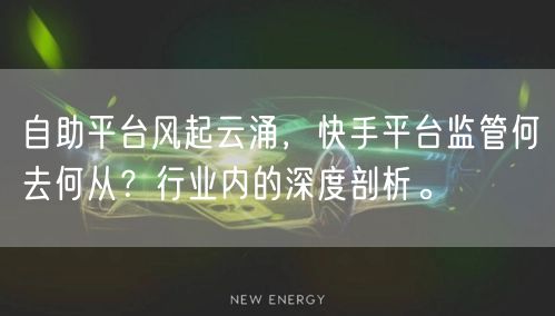 自助平台风起云涌，快手平台监管何去何从？行业内的深度剖析。