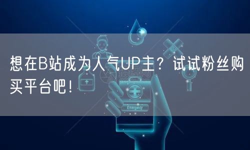 想在B站成为人气UP主？试试粉丝购买平台吧！