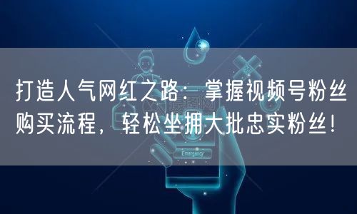 打造人气网红之路：掌握视频号粉丝购买流程，轻松坐拥大批忠实粉丝！