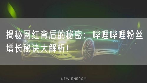 揭秘网红背后的秘密：哔哩哔哩粉丝增长秘诀大解析！
