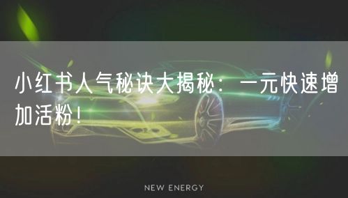 小红书人气秘诀大揭秘：一元快速增加活粉！