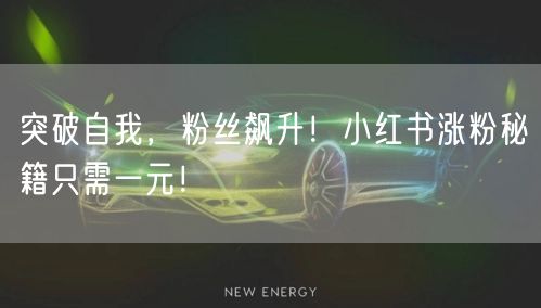 突破自我，粉丝飙升！小红书涨粉秘籍只需一元！