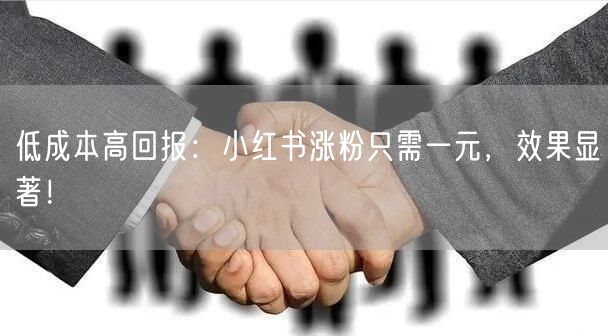 低成本高回报：小红书涨粉只需一元，效果显著！