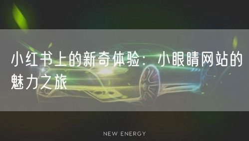 小红书上的新奇体验：小眼睛网站的魅力之旅
