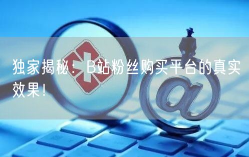 独家揭秘：B站粉丝购买平台的真实效果！