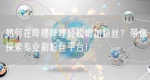 如何在哔哩哔哩轻松增加粉丝？带你探索专业刷粉丝平台！