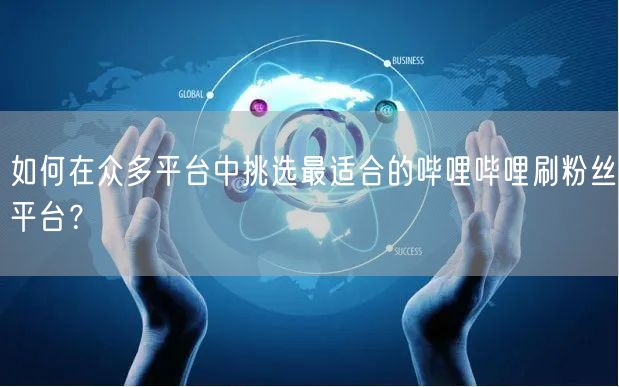 如何在众多平台中挑选最适合的哔哩哔哩刷粉丝平台？