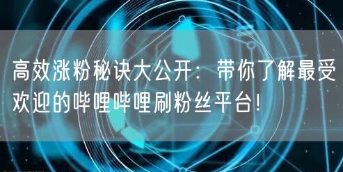 高效涨粉秘诀大公开：带你了解最受欢迎的哔哩哔哩刷粉丝平台！