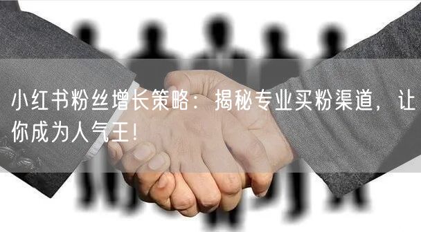 小红书粉丝增长策略：揭秘专业买粉渠道，让你成为人气王！