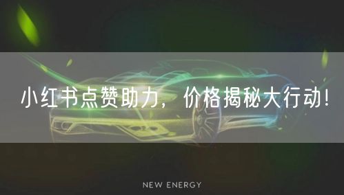 小红书点赞助力，价格揭秘大行动！