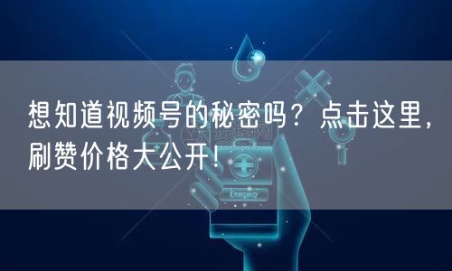 想知道视频号的秘密吗？点击这里，刷赞价格大公开！
