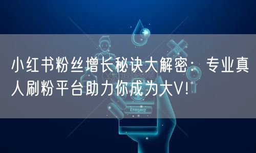 小红书粉丝增长秘诀大解密：专业真人刷粉平台助力你成为大V！