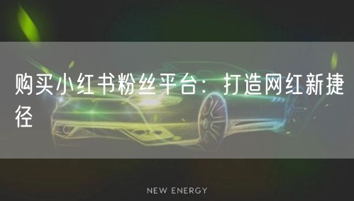 购买小红书粉丝平台：打造网红新捷径