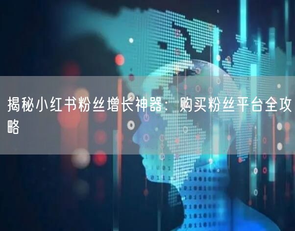 揭秘小红书粉丝增长神器：购买粉丝平台全攻略