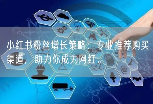 小红书粉丝增长策略：专业推荐购买渠道，助力你成为网红。