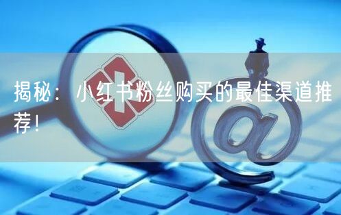 揭秘：小红书粉丝购买的最佳渠道推荐！