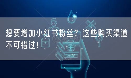 想要增加小红书粉丝？这些购买渠道不可错过！