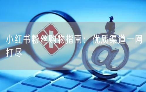 小红书粉丝购物指南：优质渠道一网打尽