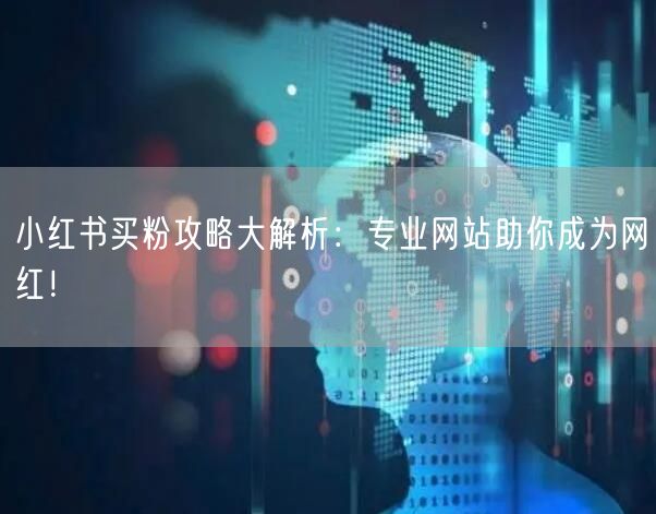 小红书买粉攻略大解析：专业网站助你成为网红！