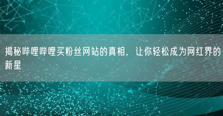 揭秘哔哩哔哩买粉丝网站的真相，让你轻松成为网红界的新星