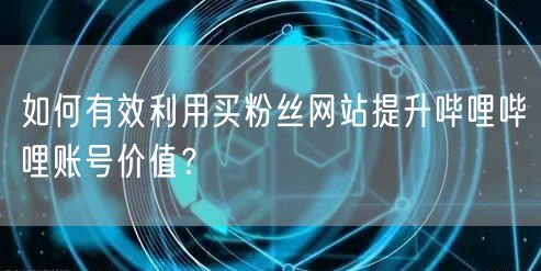 如何有效利用买粉丝网站提升哔哩哔哩账号价值？