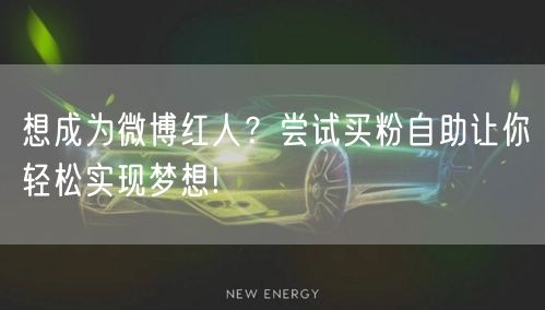 想成为微博红人？尝试买粉自助让你轻松实现梦想!