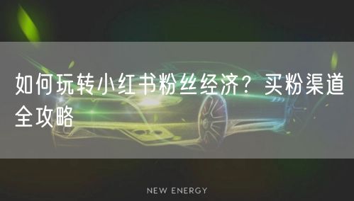 如何玩转小红书粉丝经济？买粉渠道全攻略