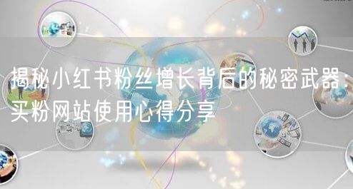 揭秘小红书粉丝增长背后的秘密武器：买粉网站使用心得分享