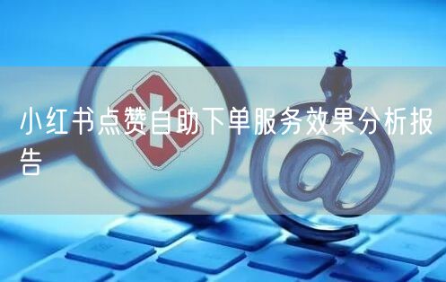小红书点赞自助下单服务效果分析报告