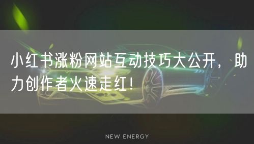 小红书涨粉网站互动技巧大公开，助力创作者火速走红！