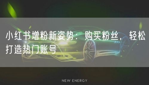 小红书增粉新姿势：购买粉丝，轻松打造热门账号
