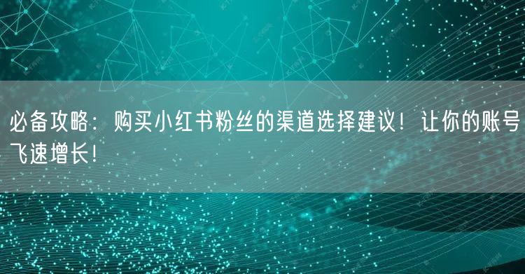 必备攻略：购买小红书粉丝的渠道选择建议！让你的账号飞速增长！