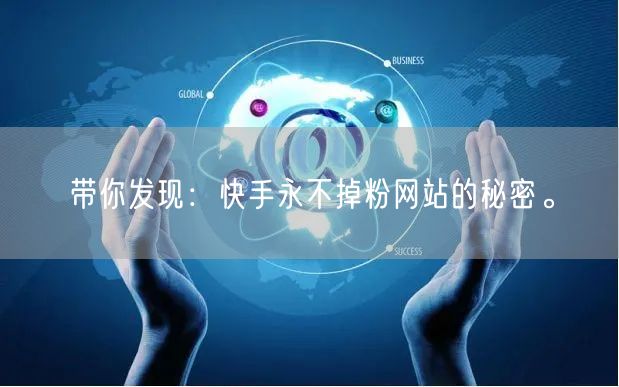 带你发现：快手永不掉粉网站的秘密。