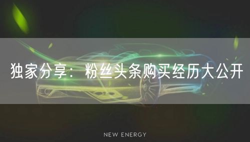 独家分享：粉丝头条购买经历大公开