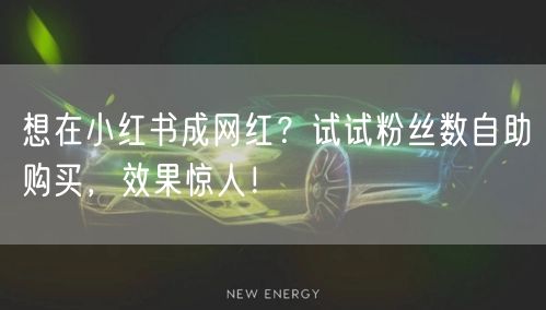 想在小红书成网红？试试粉丝数自助购买，效果惊人！