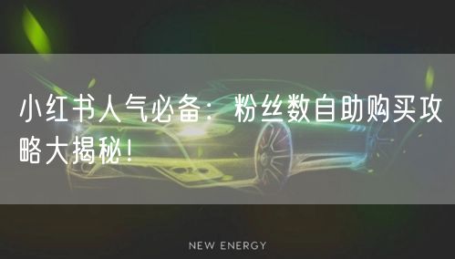 小红书人气必备：粉丝数自助购买攻略大揭秘！