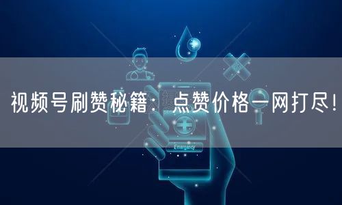 视频号刷赞秘籍：点赞价格一网打尽！