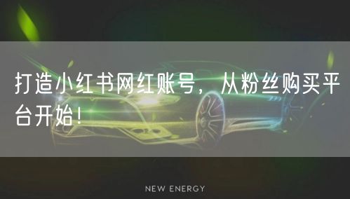 打造小红书网红账号，从粉丝购买平台开始！