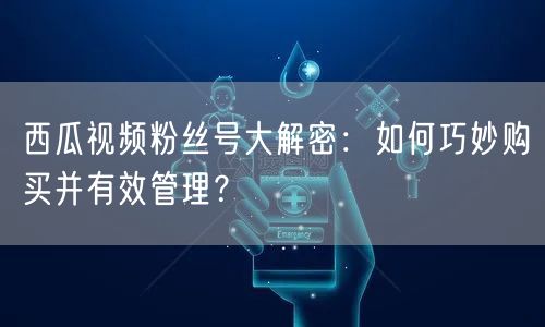 西瓜视频粉丝号大解密：如何巧妙购买并有效管理？