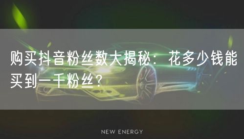 购买抖音粉丝数大揭秘：花多少钱能买到一千粉丝？